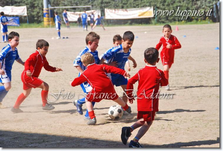 Sei già all'ultima foto